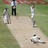 Image result for Cricket Wof Funny