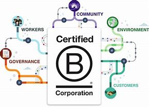 Image result for B Corp Certification Criteria