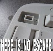 Image result for No Escape Meme