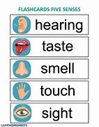 Image result for Senses Flash Cards