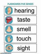 Image result for 5 Senses Flashcards