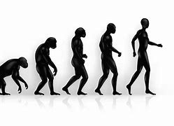 Image result for evolutionism
