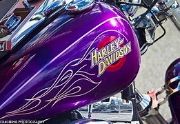 Image result for Top Fuel Harley Drag Bikes