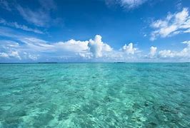 Image result for Pacific Ocean Pics