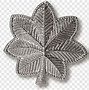 Image result for Red Army Rank Insignia
