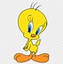 Image result for Real Tweety Bird