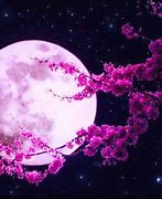 Image result for Moon Background Out