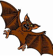 Image result for Bat Clip Art Orange