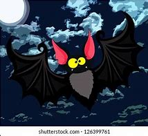 Image result for Funny Bat Pictures