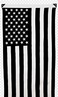 Image result for American Union Flag