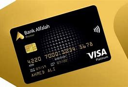 Image result for Platinum Visa Business Card
