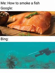 Image result for Google Search vs Bing Search Meme