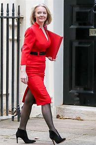 Image result for Elizabeth Truss Dress