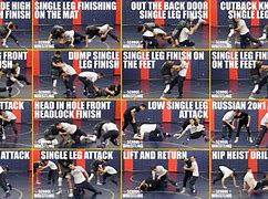 Image result for Scholastic Wrestling Moves Posters