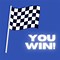 Image result for Auto Racing Flags