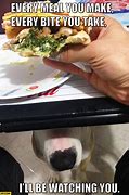 Image result for Dog Watching Food Meme