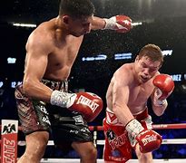 Image result for Boxing Knockout