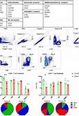 Image result for Tao Dong Memory T Cells