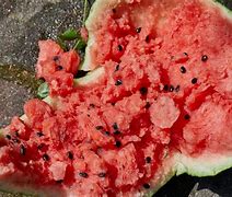 Image result for Smashed Watermelon
