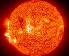 Image result for Sunce Souzao