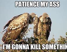 Image result for Vulture and Outhouse Meme