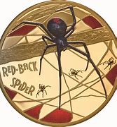 Image result for Redback Spider