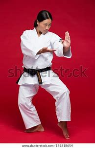 Image result for Japanese Martial Arts Woman