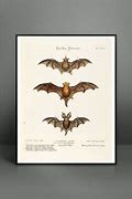 Image result for Vintage Bat Chart