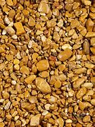 Image result for Bulbul Pebble