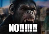 Image result for Planet of the Apes No Meme