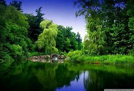 Image result for Full HD Nature Wallpapers