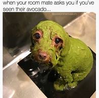 Image result for Fresh Avocado Meme