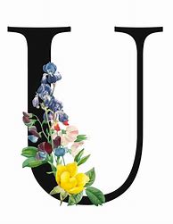 Image result for Transparent Letter U