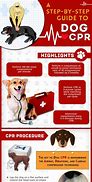 Image result for Dog CPR Drug Chart