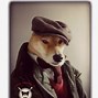 Image result for Shiba Inu with Hat Meme
