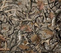 Image result for Realtree Background