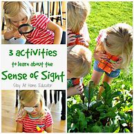 Image result for Sense of Sight Activities