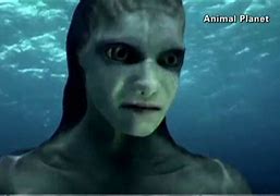 Image result for Animal Planet Mermaids