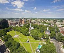 Image result for New Haven CT Green