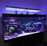 Image result for LED Aquarium Light Screen