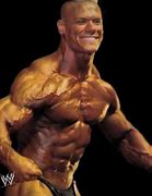 Image result for WWE John Cena Bodybuilding