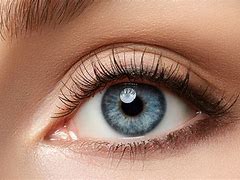 Image result for New Contact Lenses