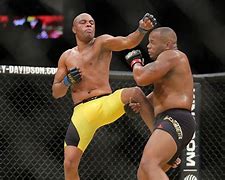 Image result for Greatest MMA Fighters