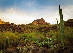 Image result for Tucson Arizona Scenery