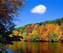 Image result for Fall Desktop Themes Windows 7