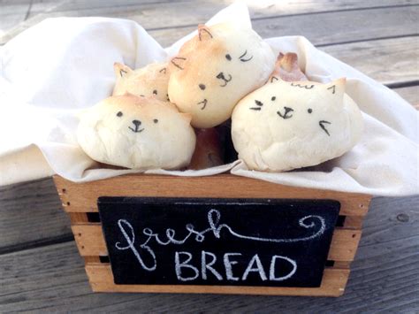 Image result for Conda Python Structure
