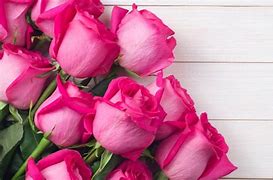 Image result for Hot Pink Rose Bouquet
