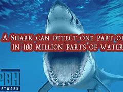 Image result for Interesting Facts About Things