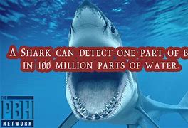 Image result for Fun Facts About the World