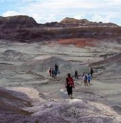 Image result for Petrified Forest National Park History